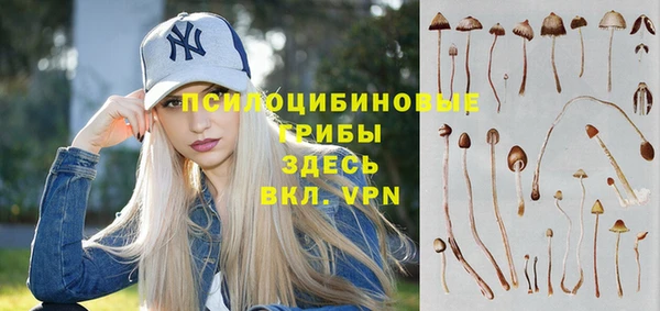 МДМА Алексеевка